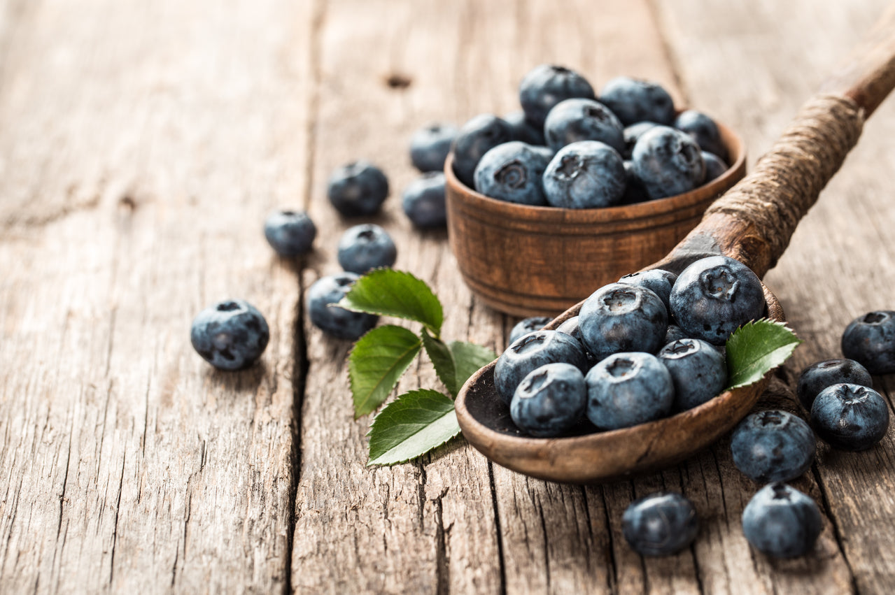 Myrtille, une baie savoureuse aux multiples atouts