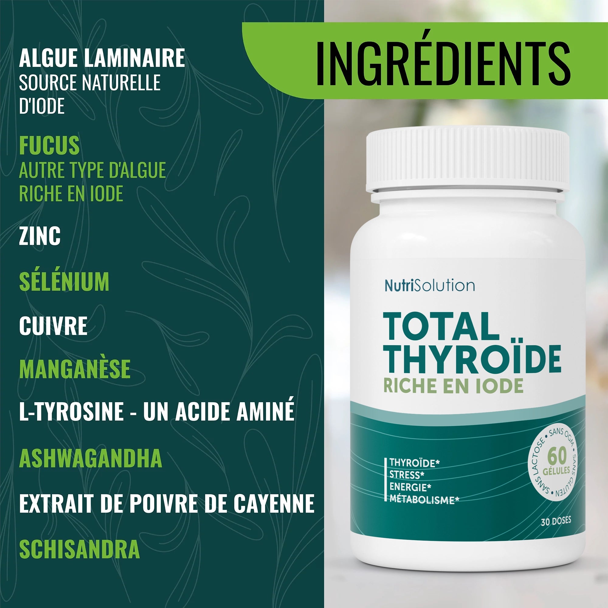 Total Thyroïde