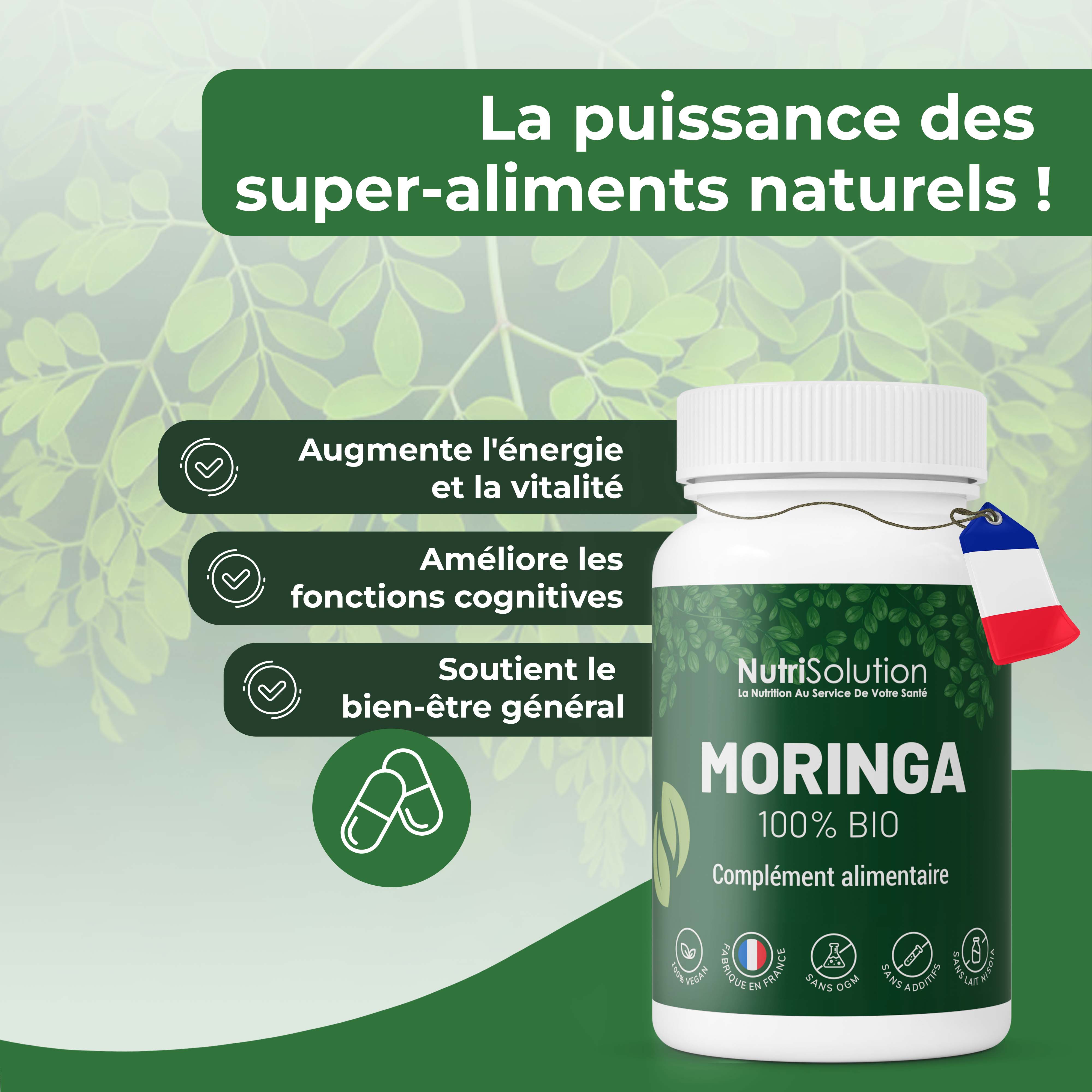 Moringa 100% Bio