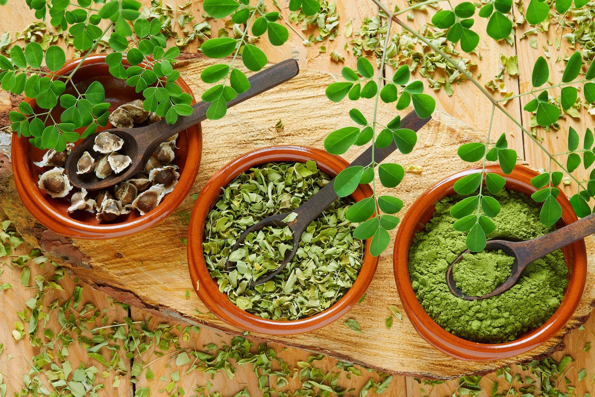 Moringa : 6 raisons d’en prendre tous les jours