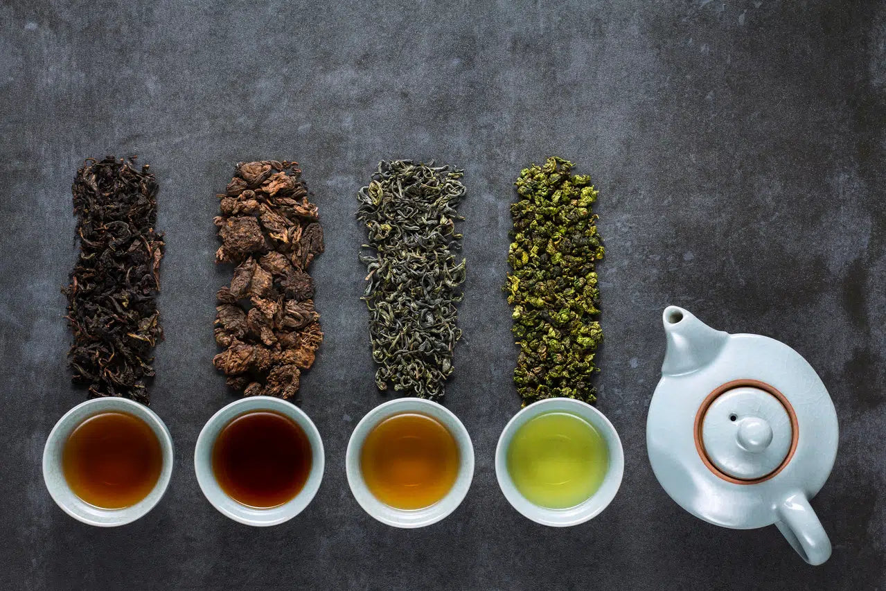 Brûleur de graisse, antiâge, stimulant… Quel thé pour quels bienfaits ?