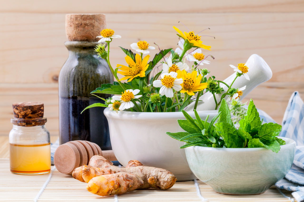 7 Plantes pour Renforcer vos Défenses Immunitaires