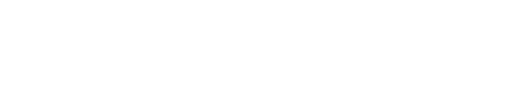 Logo Nutrisolution