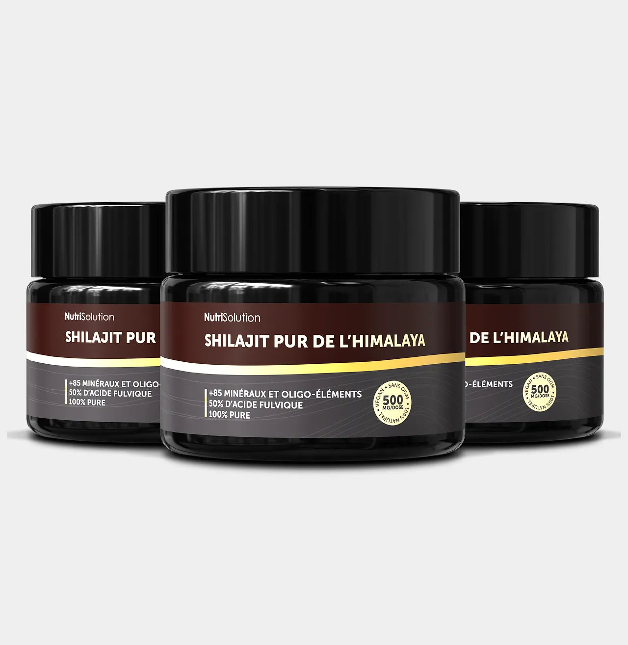 Shilajit de l’Himalaya