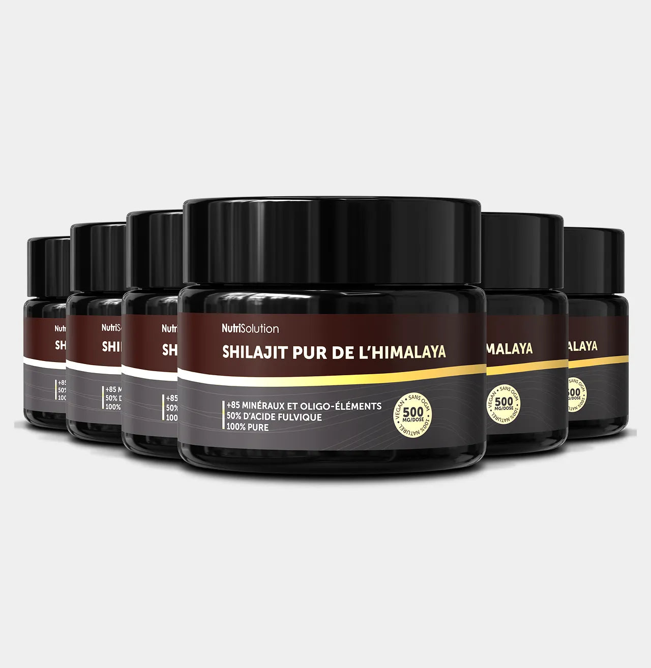 Shilajit de l’Himalaya