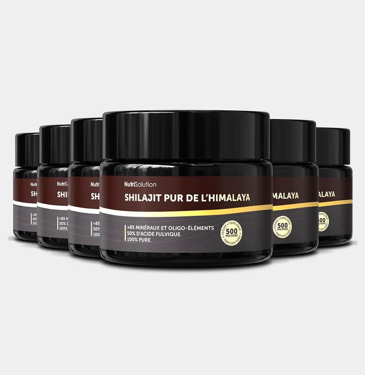 Shilajit de l’Himalaya